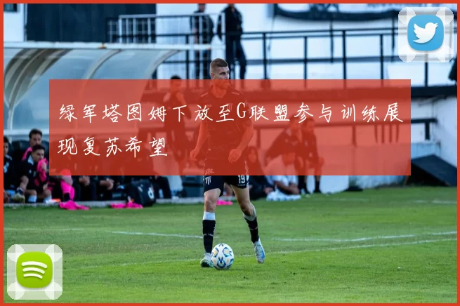 绿军塔图姆下放至G联盟参与训练展现复苏希望